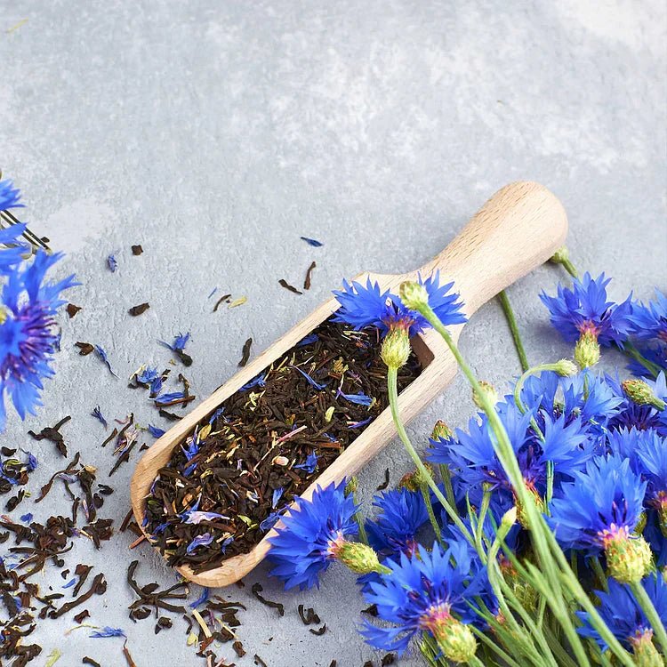 BloemenPracht — Een tuin vol kleurrijke bloemen