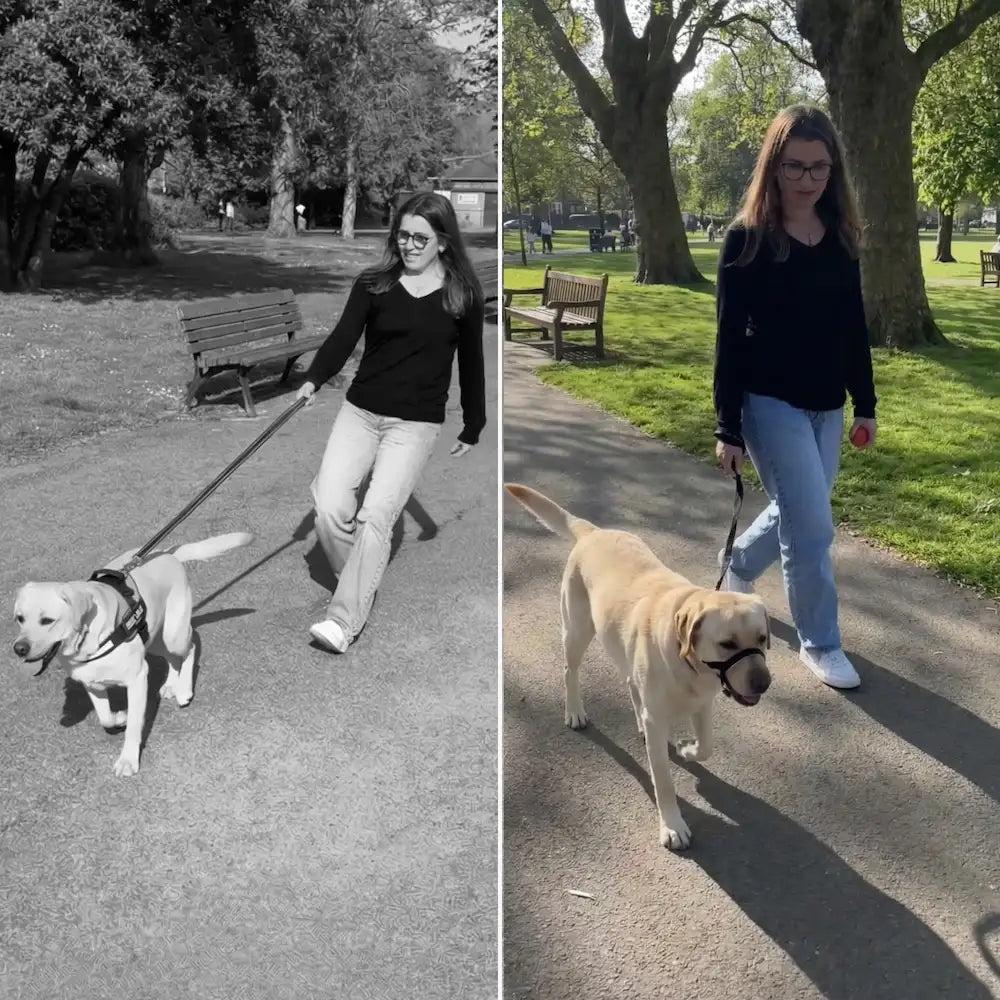 WalkEasy — Wandelen zonder getrek