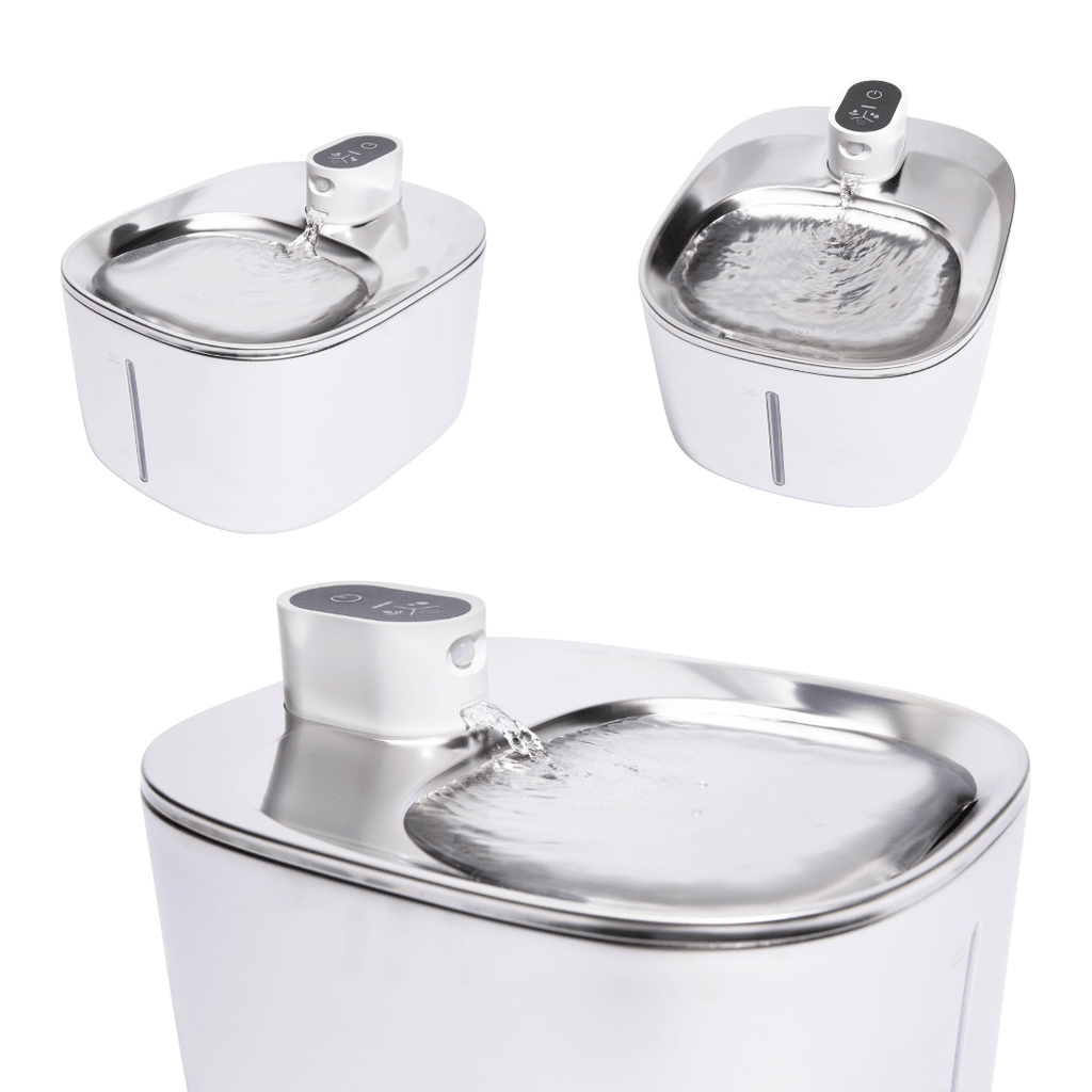 ZuiverPoot – Stromend, gefilterd water voor een gezondere kat