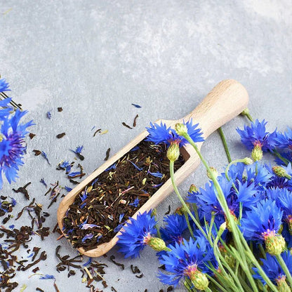 BloemenPracht — Een tuin vol kleurrijke bloemen