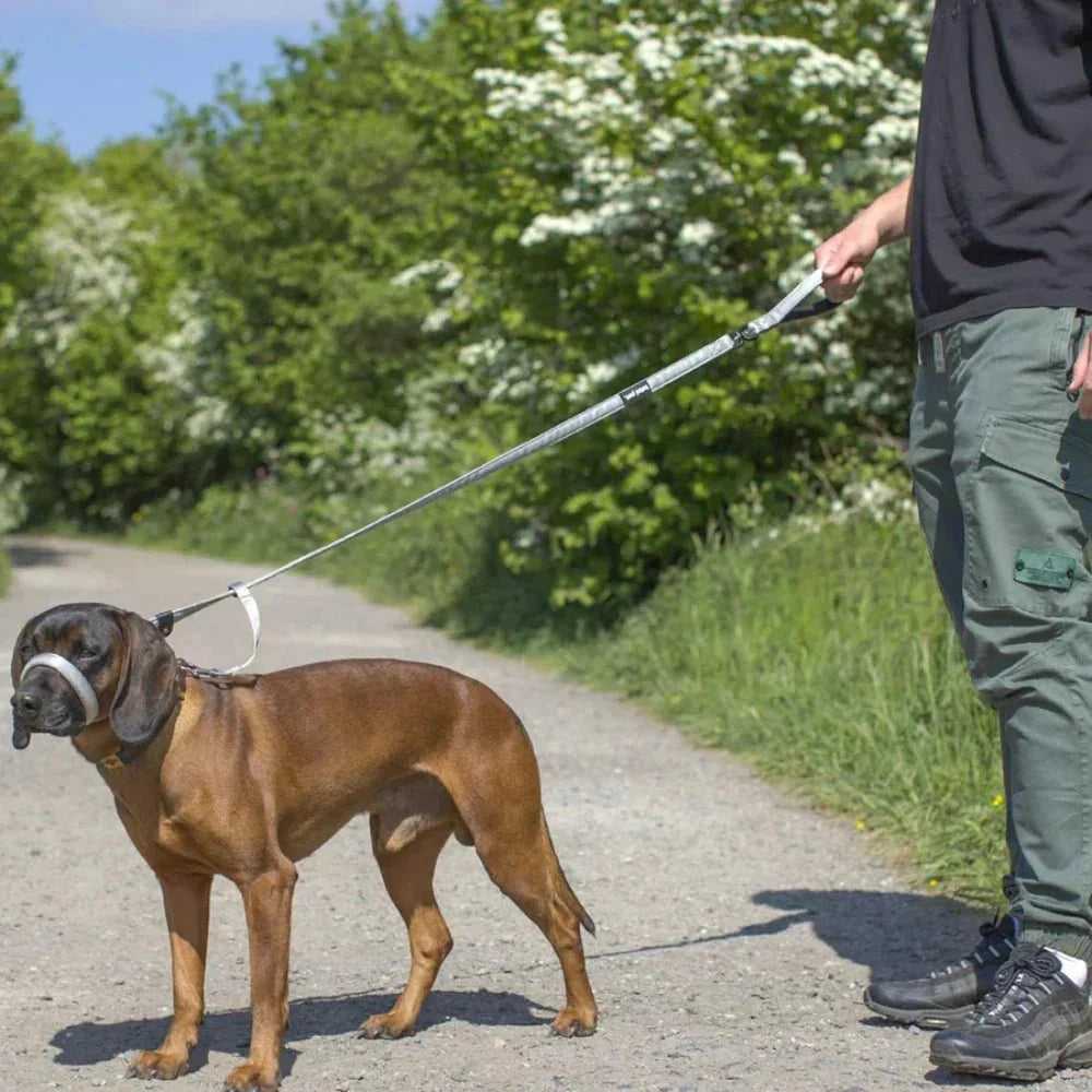 WalkEasy — Wandelen zonder getrek