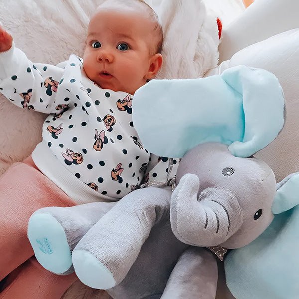 Dumbo – Zingende knuffel die rust én plezier brengt