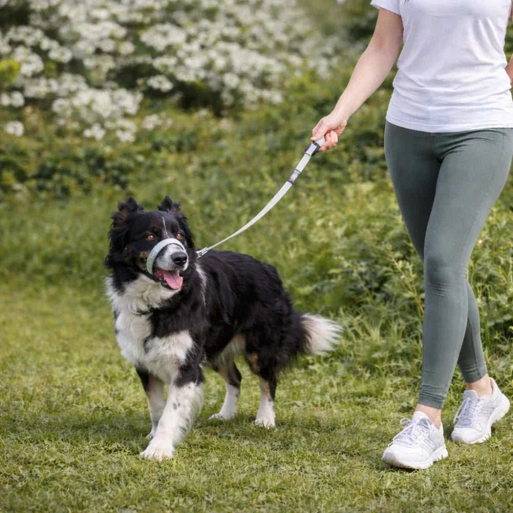 WalkEasy — Wandelen zonder getrek