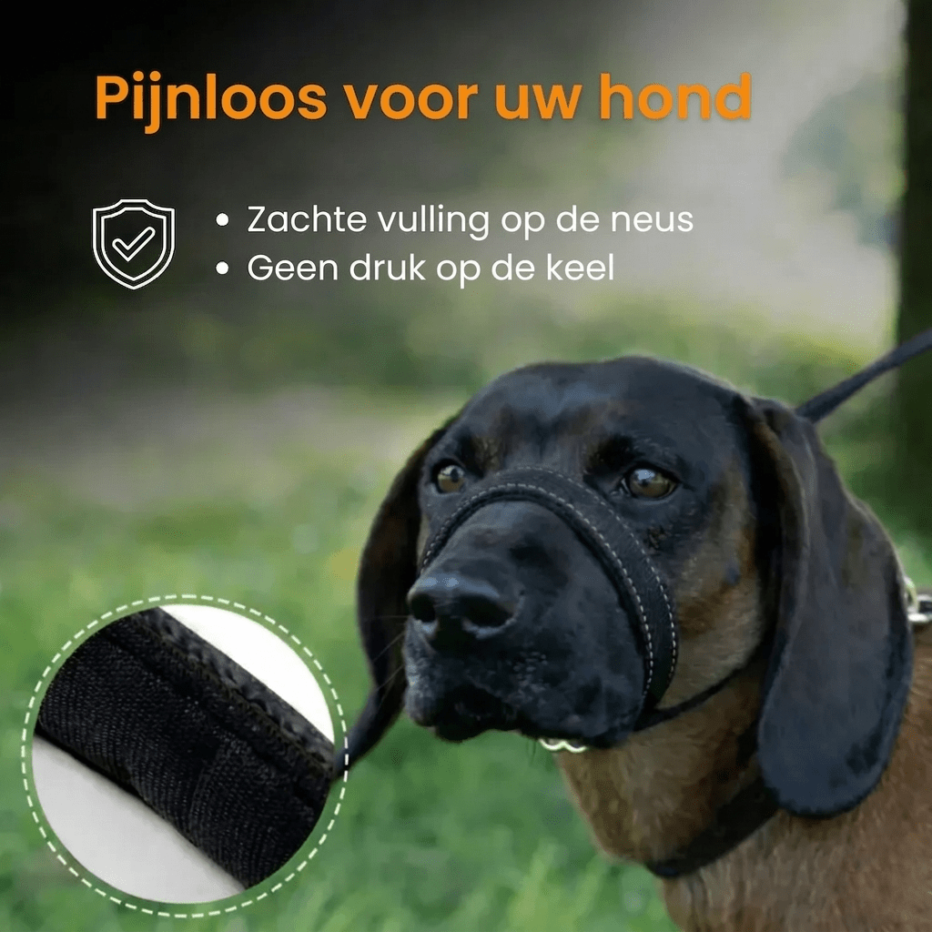 WalkEasy — Wandelen zonder getrek