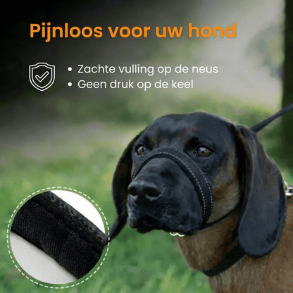 WalkEasy — Wandelen zonder getrek