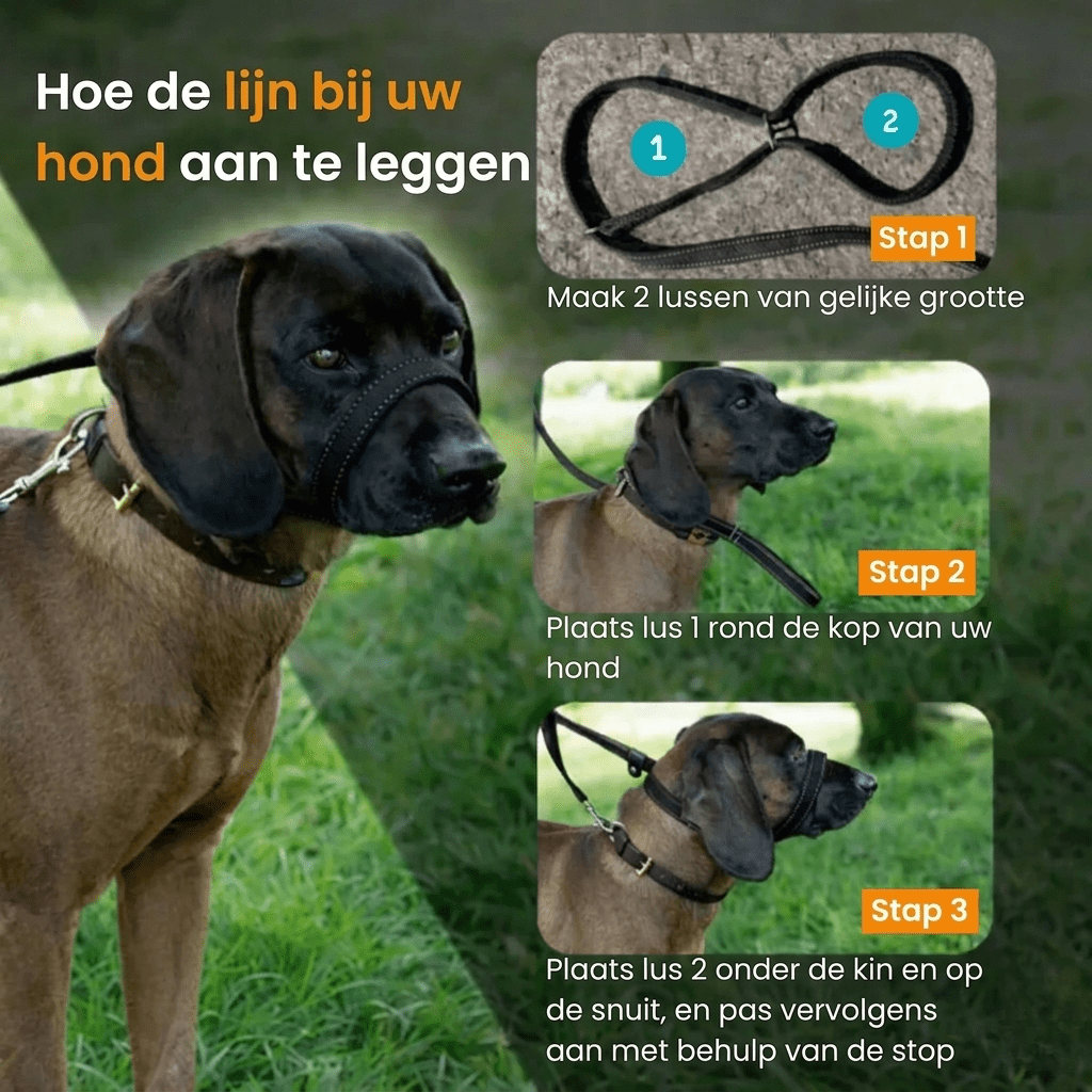 WalkEasy — Wandelen zonder getrek
