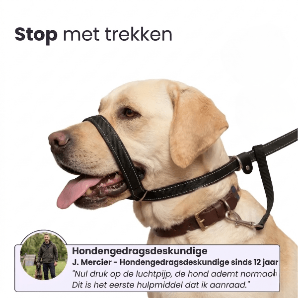 WalkEasy — Wandelen zonder getrek