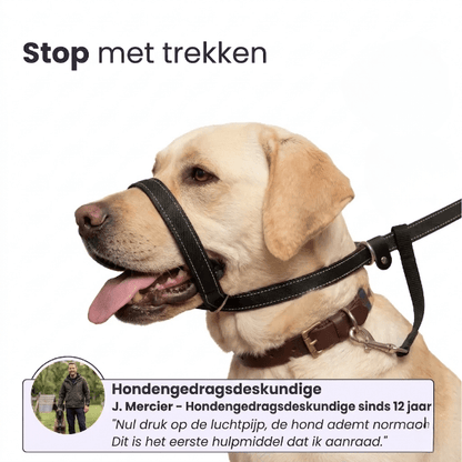 WalkEasy — Wandelen zonder getrek