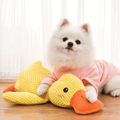 CalmiDuck – Meer rust voor je hond, zonder moeite