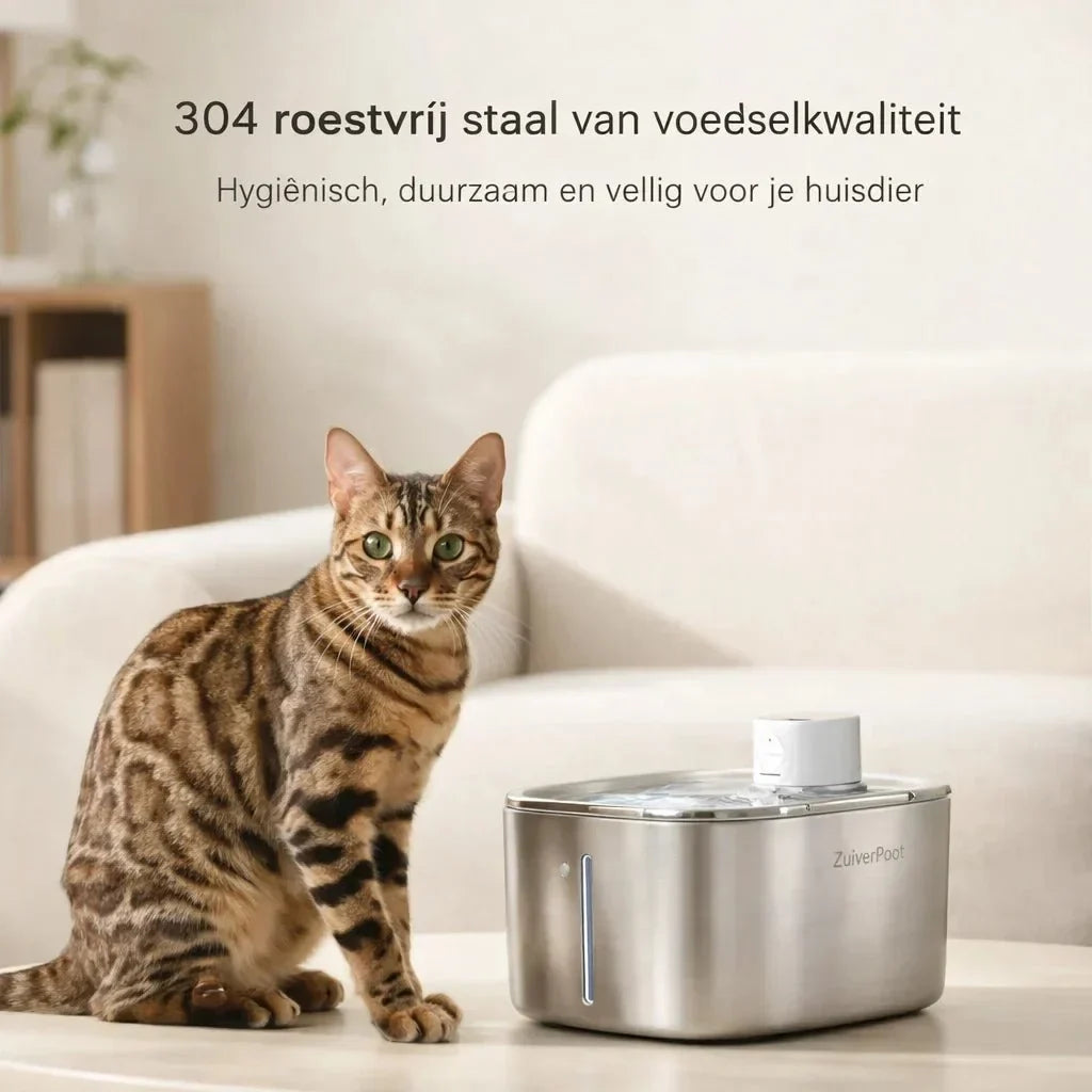 ZuiverPoot – Stromend, gefilterd water voor een gezondere kat