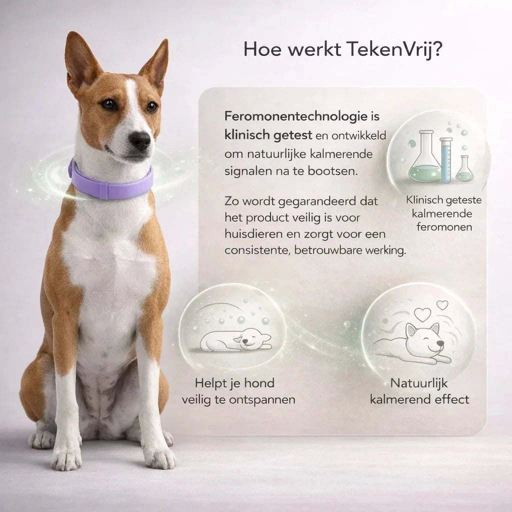 TekenVrij – Zorgeloos wandelen zonder teken