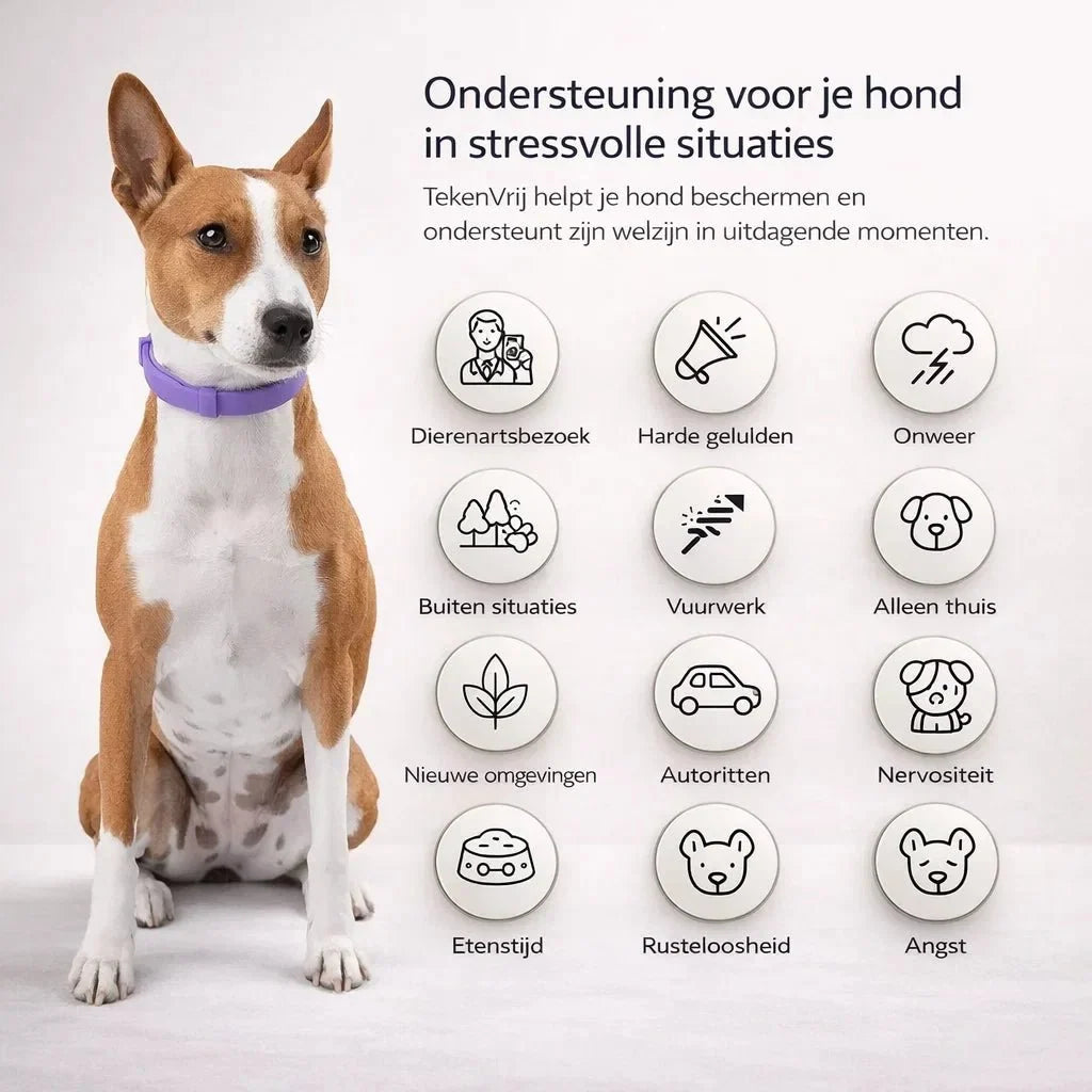 TekenVrij – Zorgeloos wandelen zonder teken