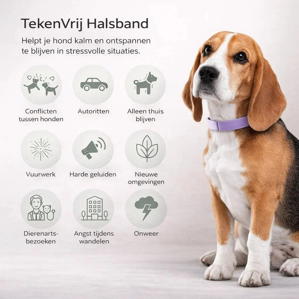 TekenVrij – Zorgeloos wandelen zonder teken