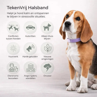 TekenVrij – Zorgeloos wandelen zonder teken