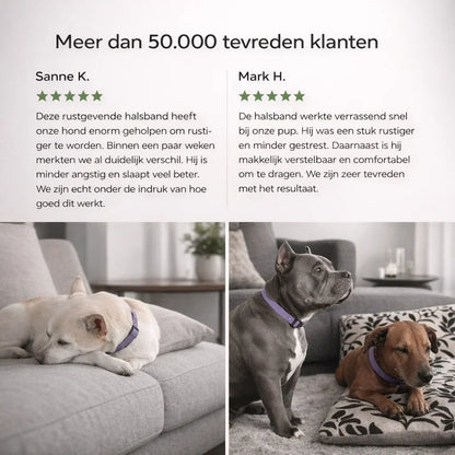 TekenVrij – Zorgeloos wandelen zonder teken