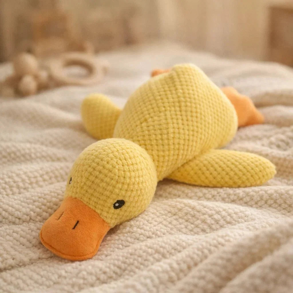 CalmiDuck – Meer rust voor je hond, zonder moeite