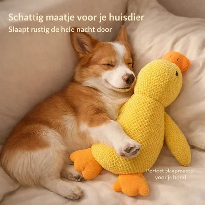 CalmiDuck – Meer rust voor je hond, zonder moeite