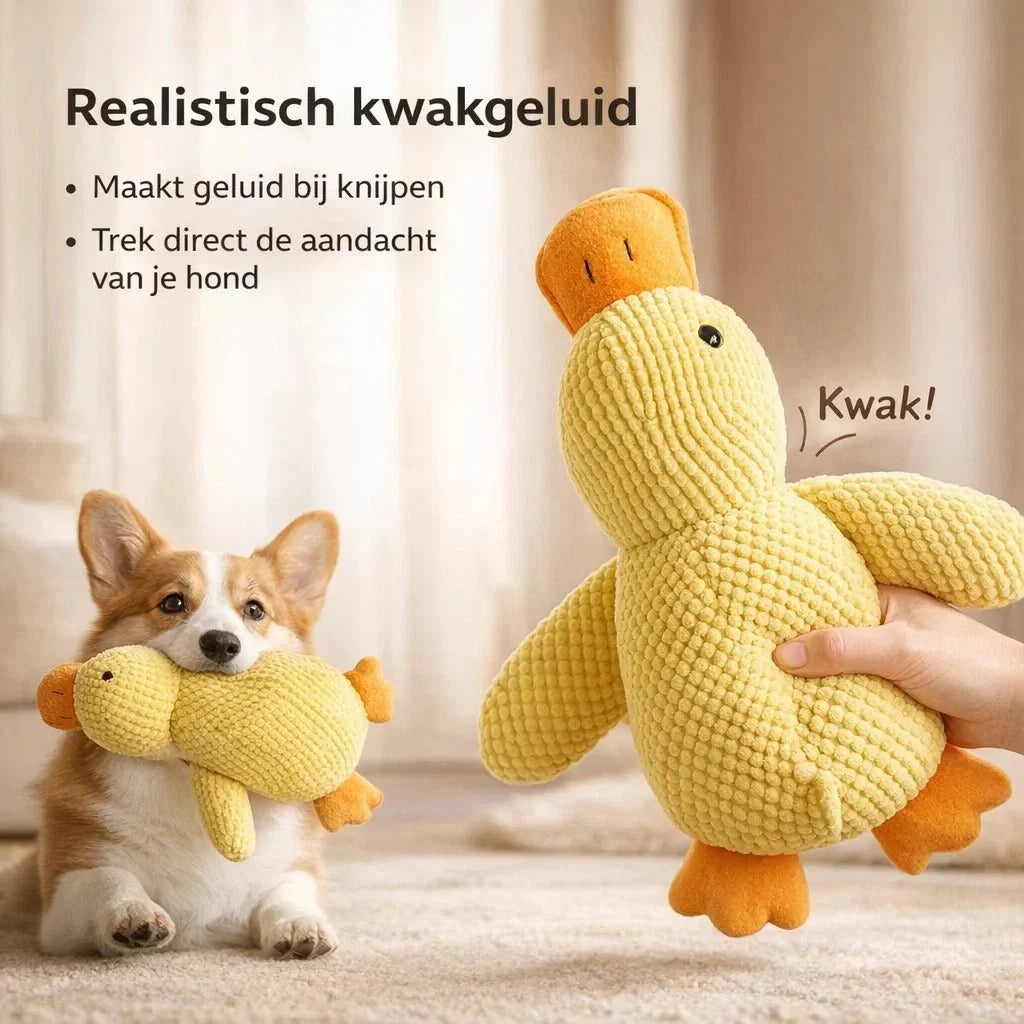 CalmiDuck – Meer rust voor je hond, zonder moeite