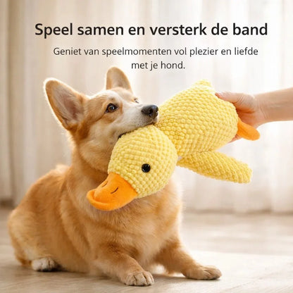 CalmiDuck – Meer rust voor je hond, zonder moeite