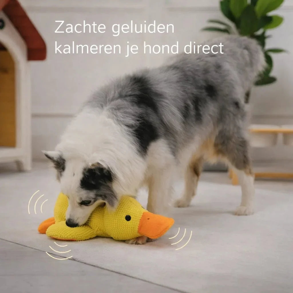 CalmiDuck – Meer rust voor je hond, zonder moeite