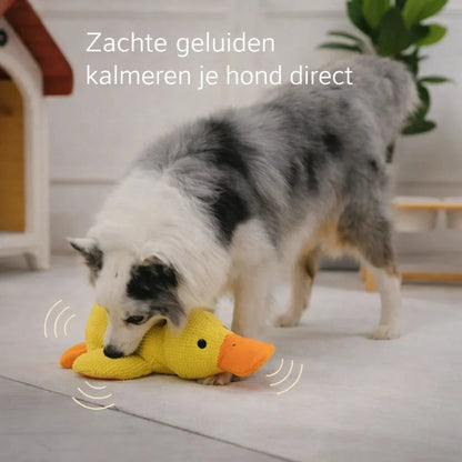 CalmiDuck – Meer rust voor je hond, zonder moeite